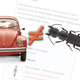 Illustration for article titled Volkswagen Keeps Having To Be Reminded It Doesnt Own The Word Beetle